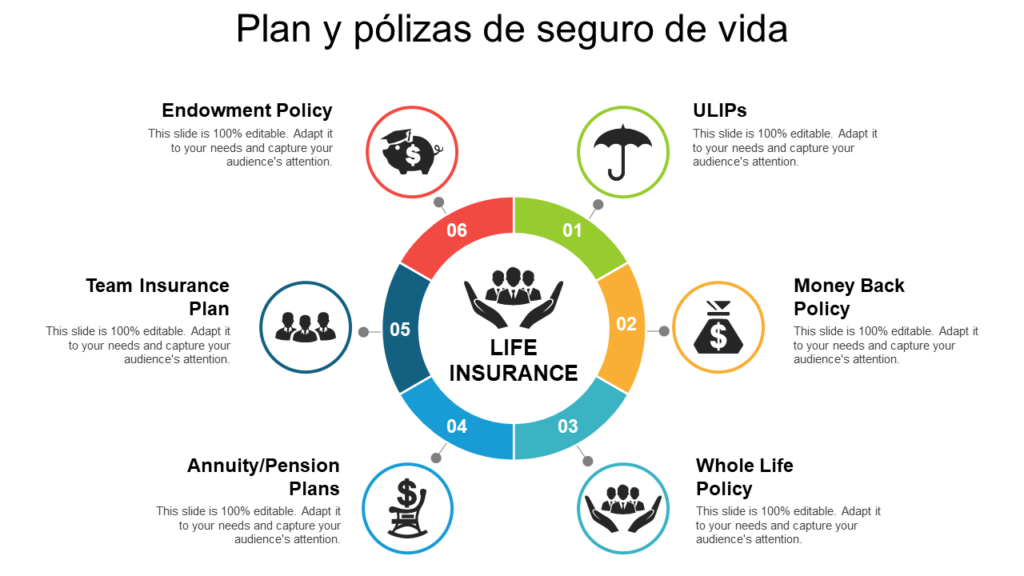 Ideas innovadoras para personalizar tu póliza 1 ideas innovadoras para personalizar tu poliza
