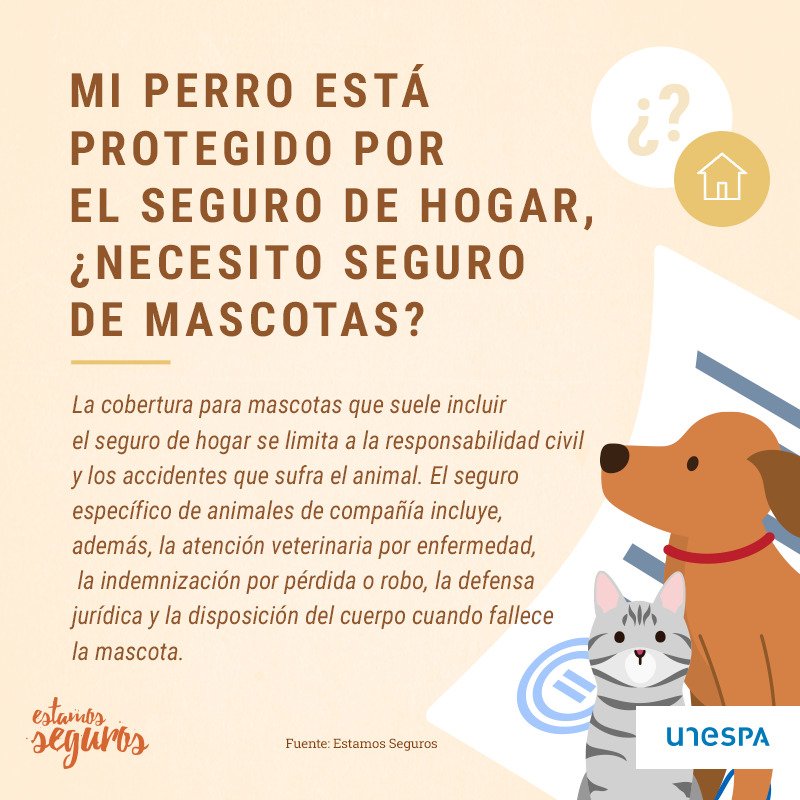 Ideas para seguros de hogar para mascotas 1 ideas para seguros de hogar para mascotas